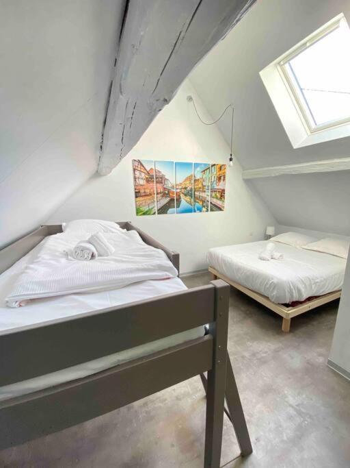 KatzenthalLe Cocon Du «Katzelberg» A 10Mn De Colmar公寓 外观 照片